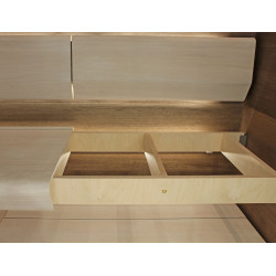 TAIVE-penkkirunkoyksikkö 