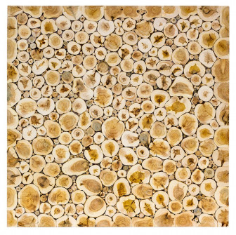 Ohut katajapuulevy, 500 × 500 mm