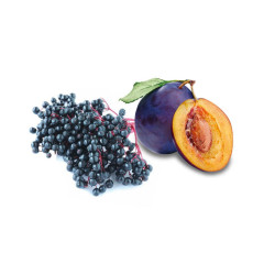 HARVIA saunatuoksutiiviste, seljanmarja ja luumu 100 ml 