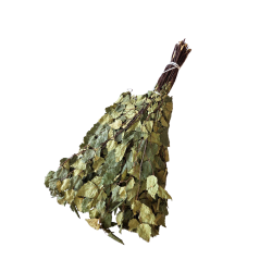 Koivuvihta 