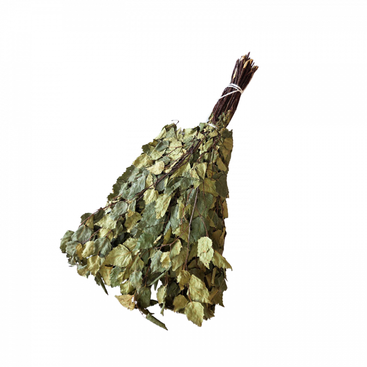 Koivuvihta