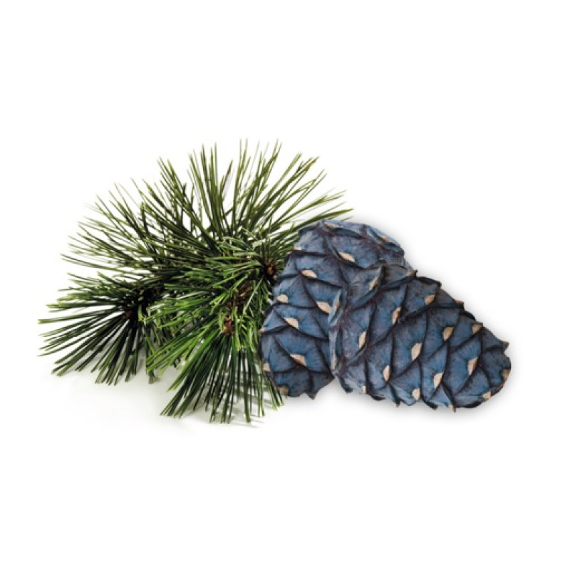 HARVIA saunatuoksutiiviste, arollamänty 1 l