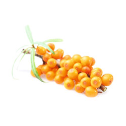 HARVIA saunatuoksutiiviste, tyrni 1 l 