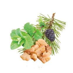 HARVIA saunatuoksutiiviste, piparminttu, mänty, suitsuke ja mirha 1 l 