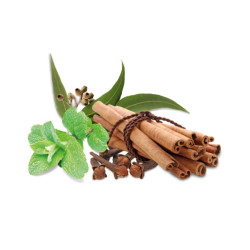 HARVIA saunatuoksutiiviste, mauste ja minttu 1 l 