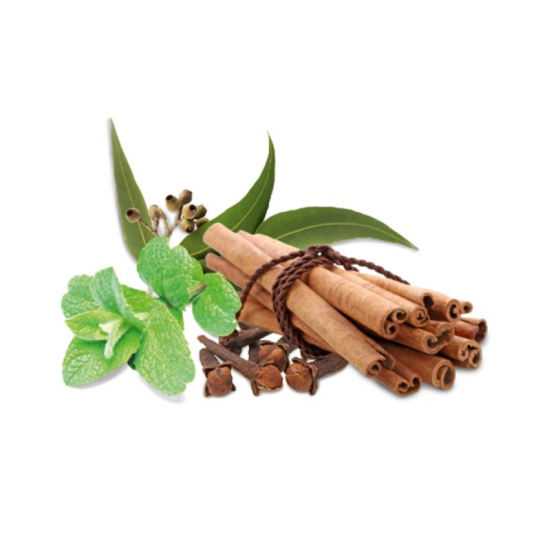 HARVIA saunatuoksutiiviste, mauste ja minttu 1 l